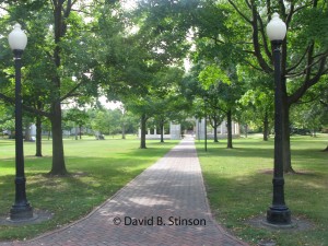 IMG_2742 copy